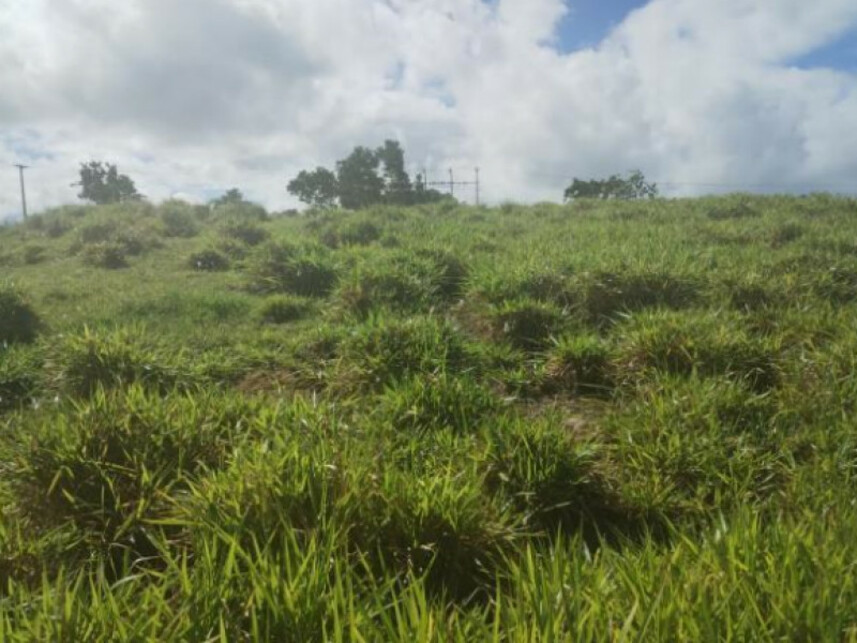 Imagem 5 do Leilão de Terreno - Parque das Margaridas - Salinas da Margarida/BA