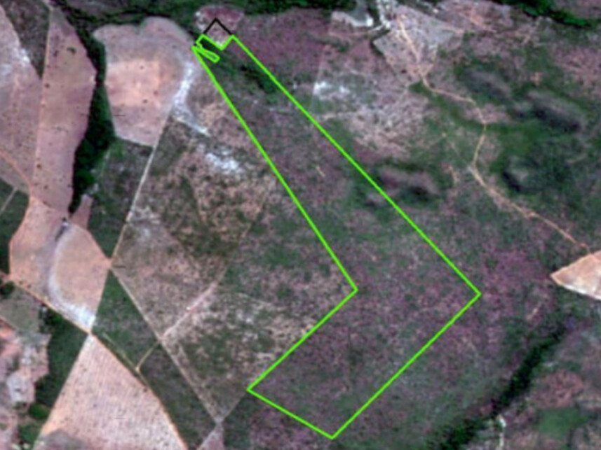 Imagem 3 do Leilão de Fazenda - Zona Rural - Lajeado Novo/MA