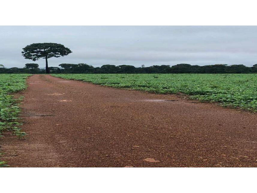 Imagem 2 do Leilão de Áreas Rurais - Zona Rural - Novo Mundo/MT