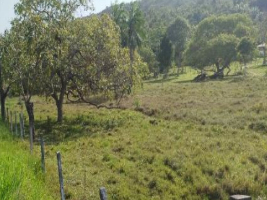 Imagem 3 do Leilão de Terreno - Distrito de Pirajuia - Jaguaripe/BA