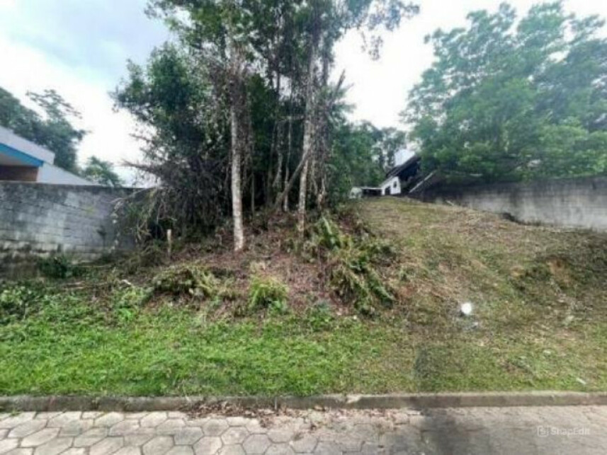Imagem 2 do Leilão de Terreno - Escola Agrícola - Blumenau/SC