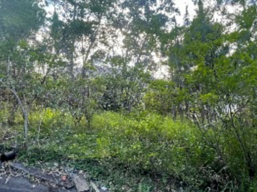 Imagem 5 do Leilão de Fazenda - Fazenda - Itajaí/SC