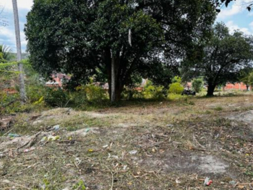 Imagem 8 do Leilão de Terreno - Mangalô - Alagoinhas/BA