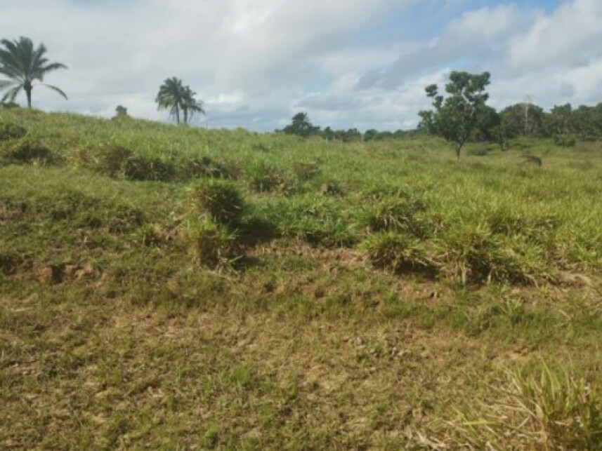 Imagem 2 do Leilão de Terreno - Parque das Margaridas - Salinas da Margarida/BA