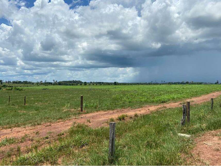 Imagem 13 do Leilão de Área Rural - Zona Rural - Alta Floresta D'oeste/RO