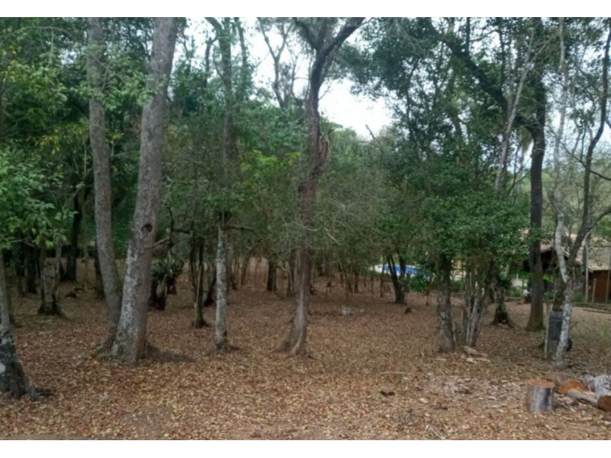 Imagem 5 do Leilão de Terreno - Bairro do Carmo - São Roque/SP