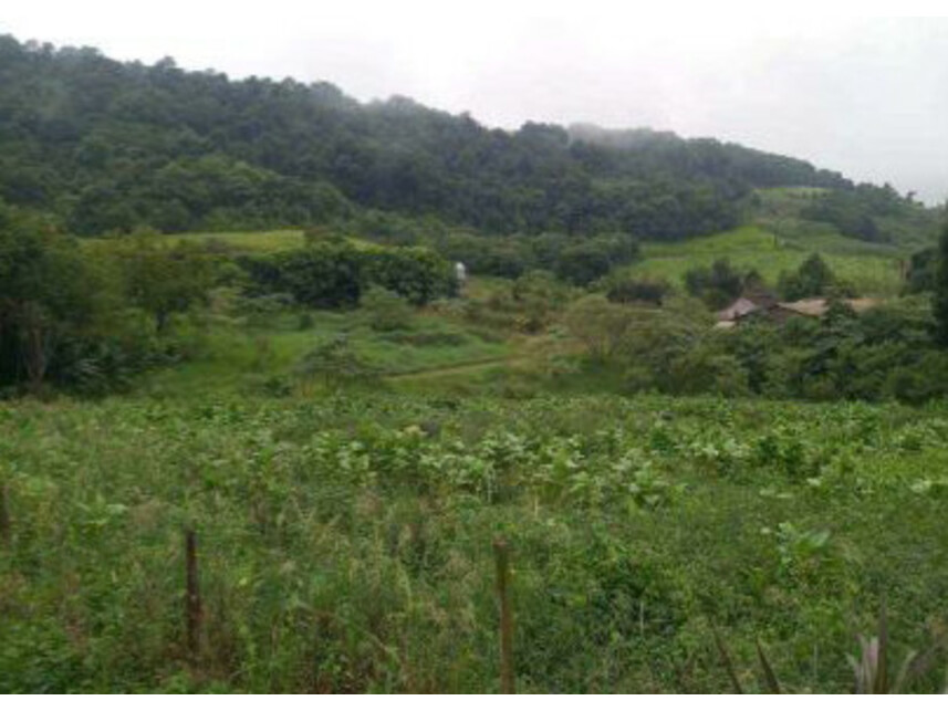 Imagem 6 do Leilão de Área Rural - Zona Rural - Iraceminha/SC