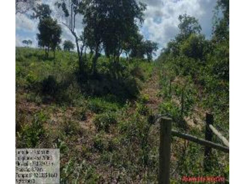 Imagem 7 do Leilão de Área Rural - Zona Rural - João Pinheiro/MG