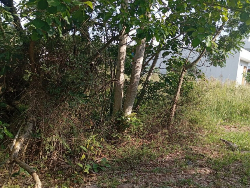 Imagem 3 do Leilão de Terreno - Vila Juriti - Nova Petrópolis/RS