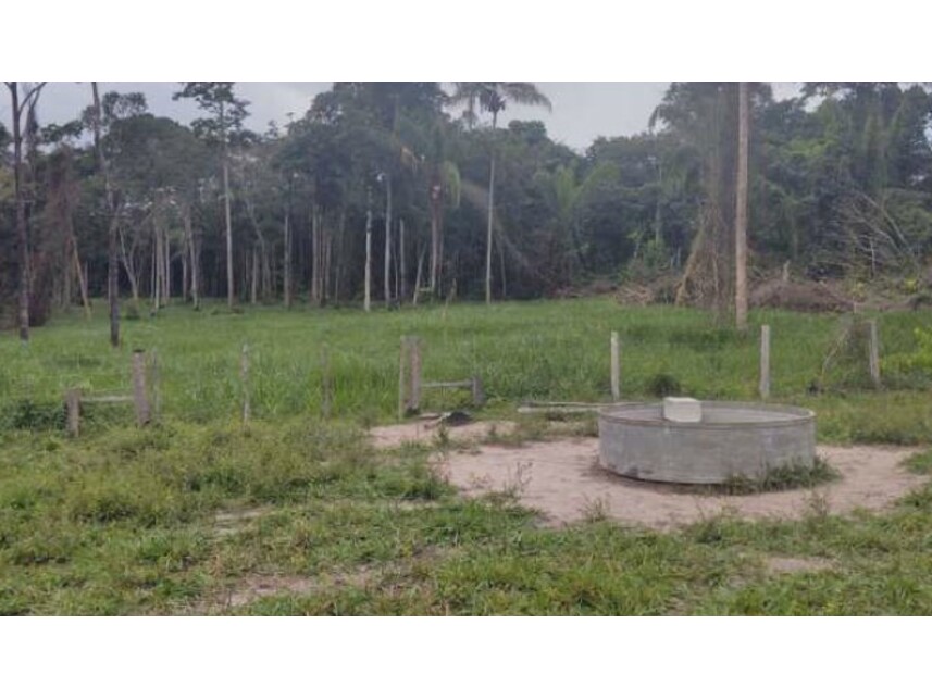 Imagem 11 do Leilão de Área Rural - Zona Rural - Vilhena/RO