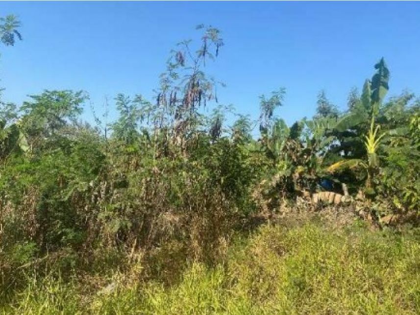 Imagem  do Leilão de Terreno - Jardim Santa Rita de Cássia - Capivari/SP