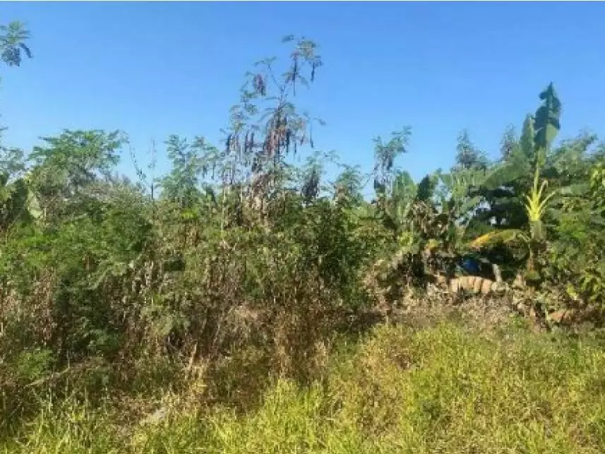 Leilão de Terreno Imóvel em Capivari/SP - Lance Inicial R$ 26.820 - Judicial