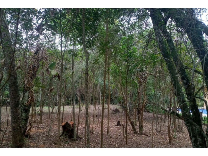 Imagem 7 do Leilão de Terreno - Bairro do Carmo - São Roque/SP