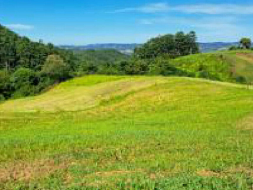 Imagem 2 do Leilão de Área Rural - Interior - União do Oeste/SC