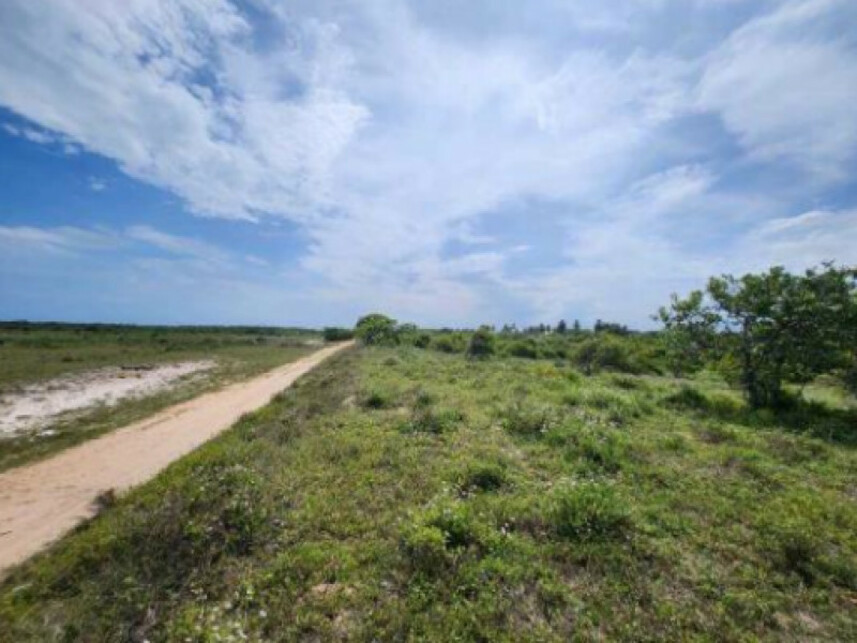 Imagem 3 do Leilão de Terreno - Santa Maria - Aracaju/SE