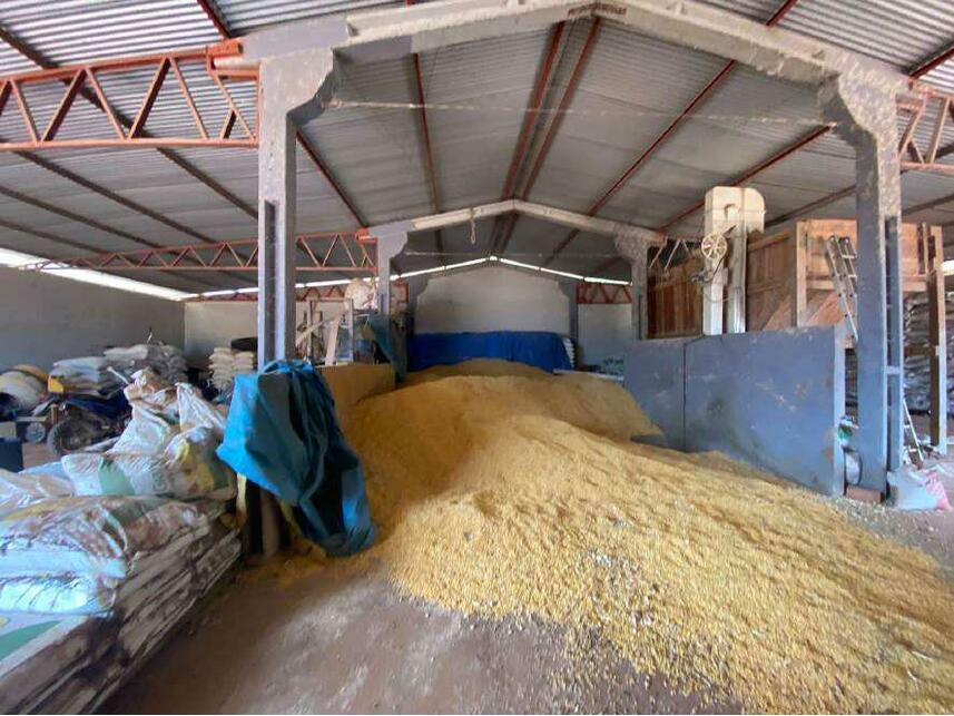 Imagem 10 do Leilão de Área Rural - Zona Rural - Alta Floresta D'oeste/RO