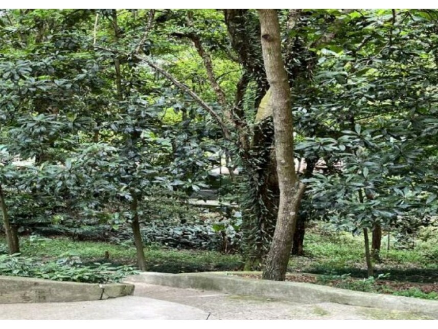 Imagem 5 do Leilão de Apartamento - Santo Amaro - São Paulo/SP