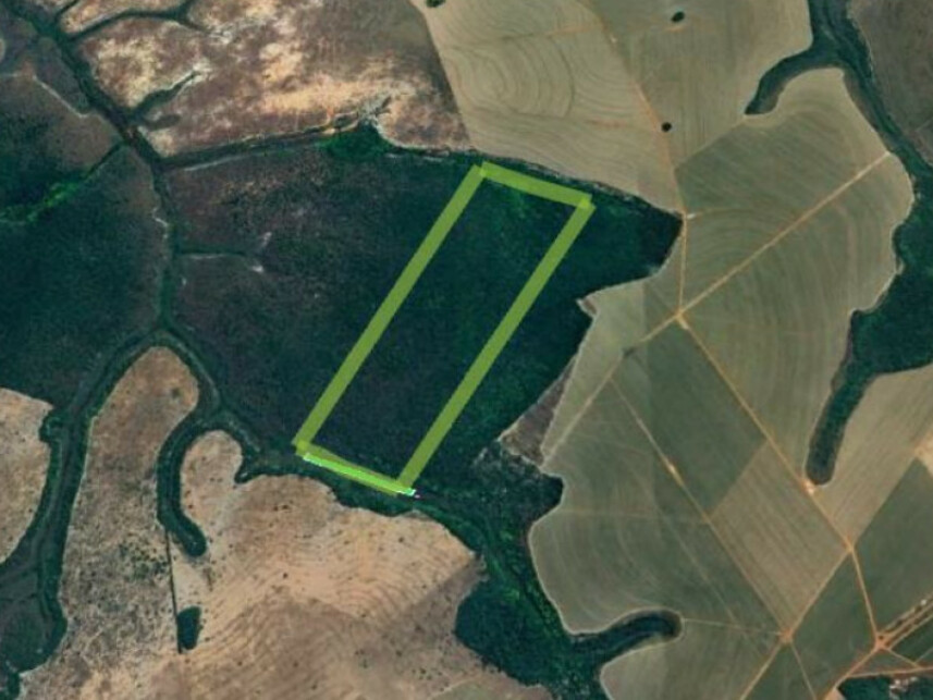 Imagem 1 do Leilão de Área Rural - Zona Rural - Mineiros/GO