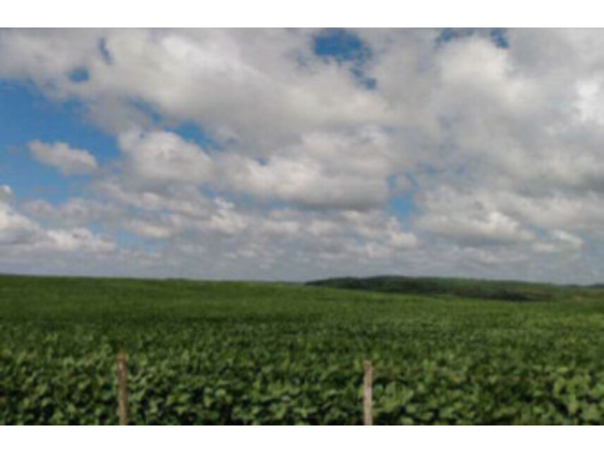 Imagem 4 do Leilão de Área Rural - Zona Rural - Júlio de Castilhos/RS