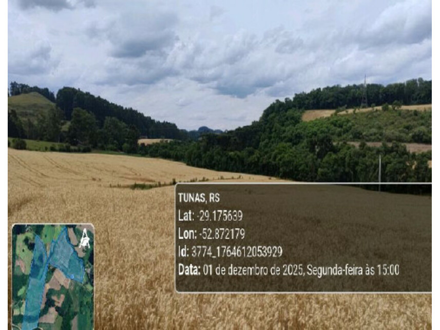 Imagem 2 do Leilão de Área Rural - Zona Rural - Tunas/RS