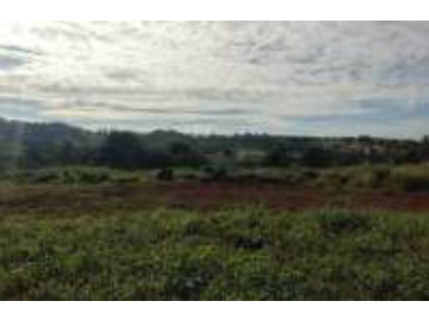 Imagem 9 do Leilão de Galpão - Sítios de Recreio Ipê - Goiânia/GO