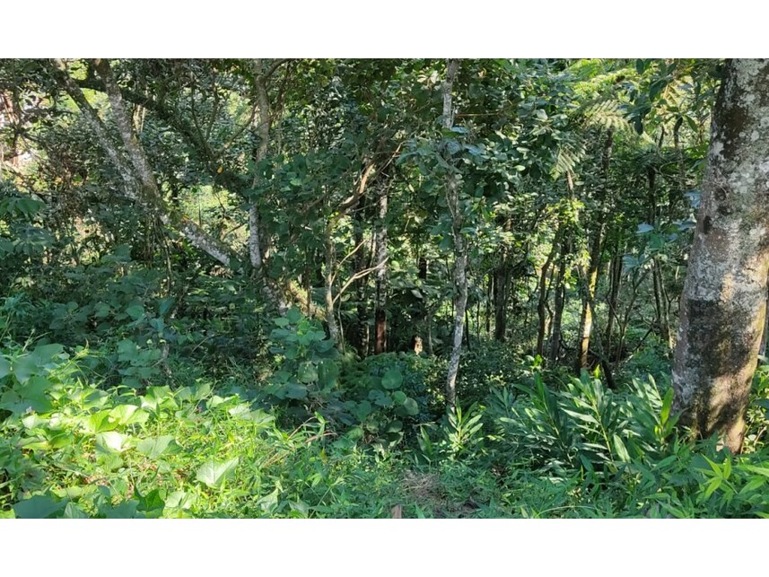 Imagem 3 do Leilão de Terreno - Caputera - Arujá/SP