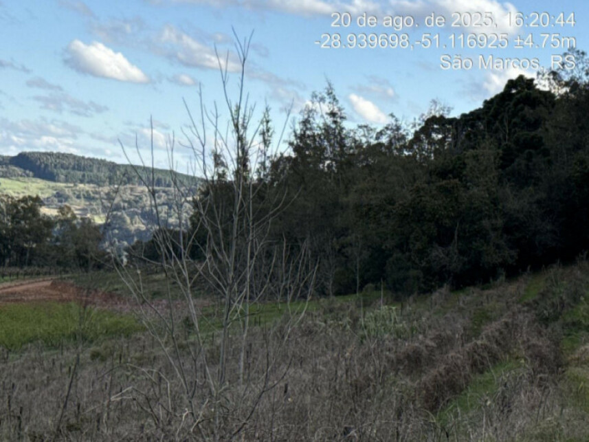 Imagem 6 do Leilão de Terreno - Linha Santana - São Marcos/RS