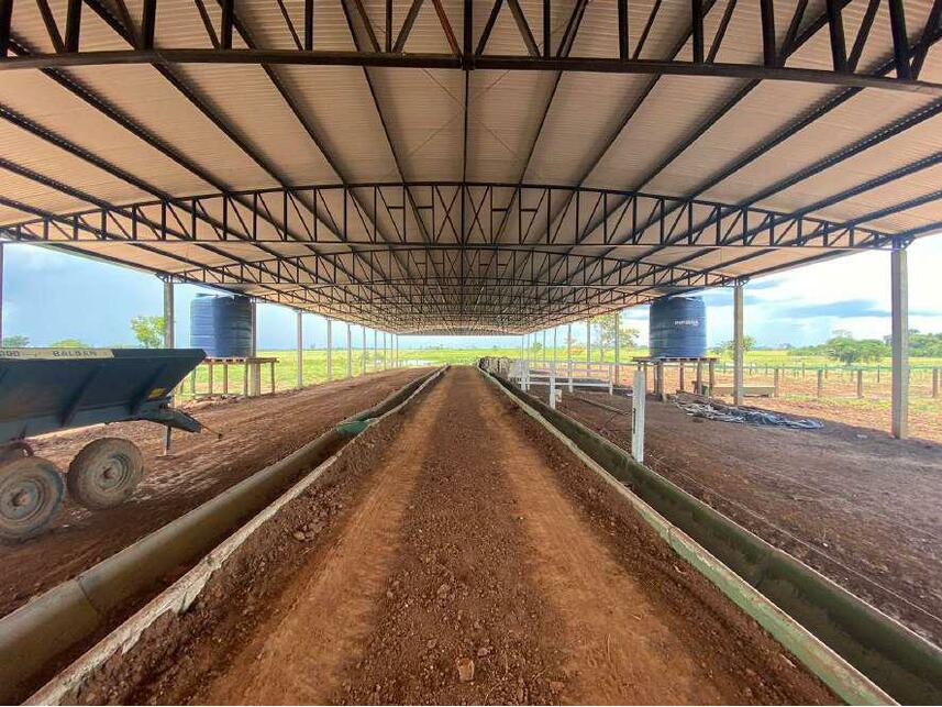 Imagem 14 do Leilão de Área Rural - Zona Rural - Alta Floresta D'oeste/RO