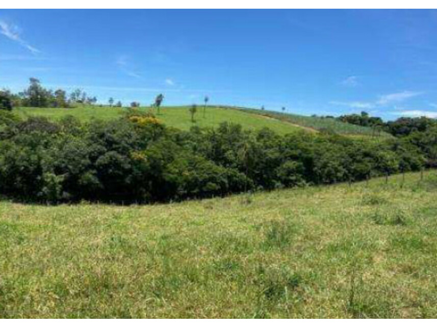 Imagem  do Leilão de Área Rural - Zona Rural - Jaboti/PR