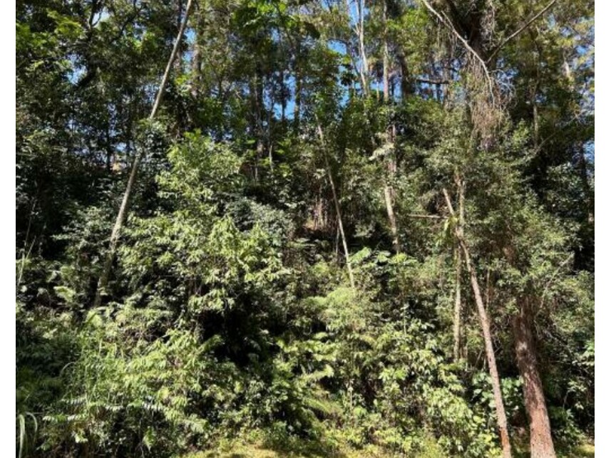 Imagem 1 do Leilão de Terreno - Condomínio Nova São Paulo - Itapevi/SP