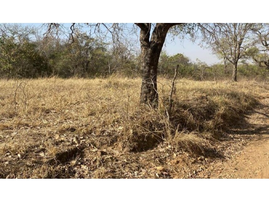 Imagem 4 do Leilão de Gleba de Terras - Zona Rural - Pontalina/GO
