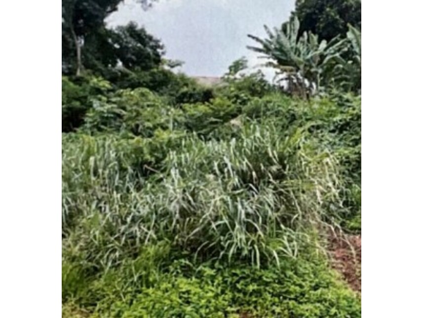 Imagem 1 do Leilão de Terreno - Parque Hortênsia - Bom Jesus dos Perdões/SP