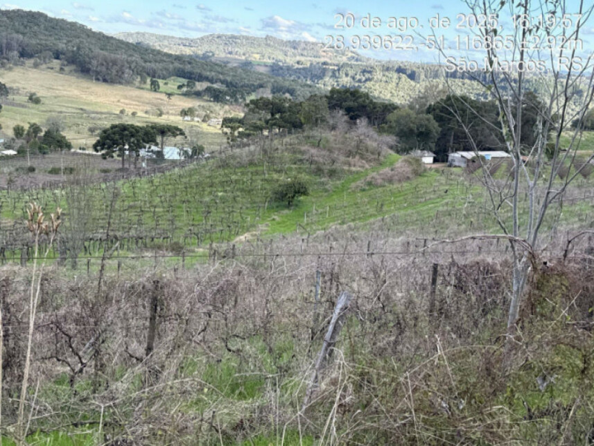 Imagem 5 do Leilão de Terreno - Linha Santana - São Marcos/RS