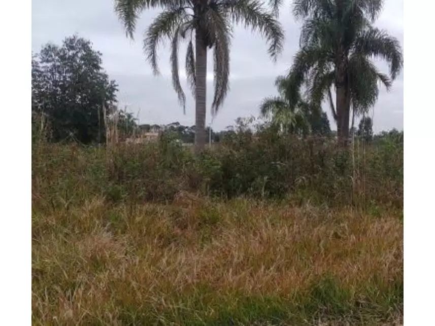 Leilão de Terreno Imóvel em São Mateus do Sul/PR - Lance Inicial R$ 38.266 - Judicial