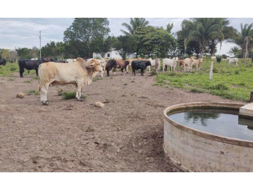Imagem 5 do Leilão de Área Rural - Zona Rural - Vilhena/RO