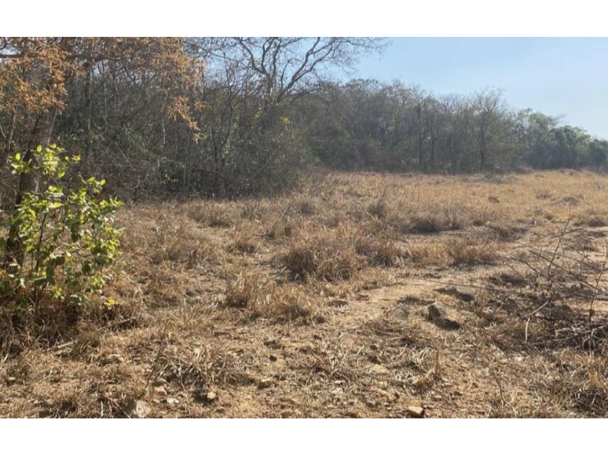Imagem 2 do Leilão de Gleba de Terras - Zona Rural - Pontalina/GO