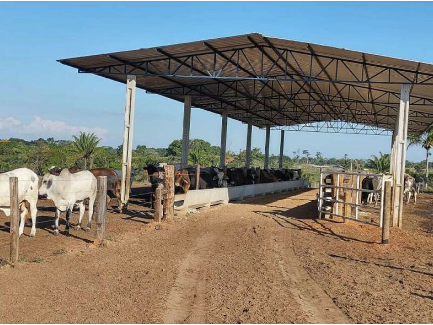 Imagem 6 do Leilão de Área Rural - Zona Rural - Vilhena/RO