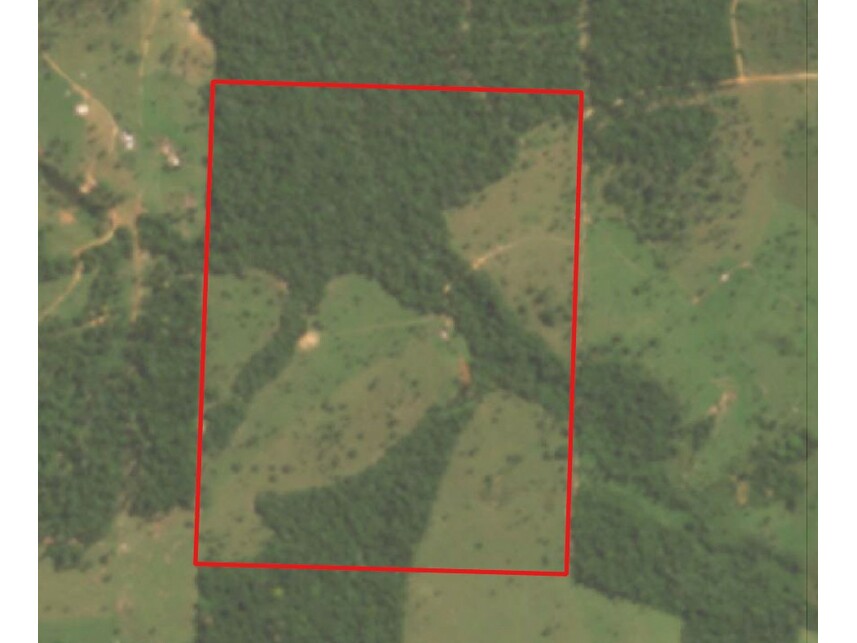 Imagem 12 do Leilão de Área Rural - Zona Rural - Vilhena/RO