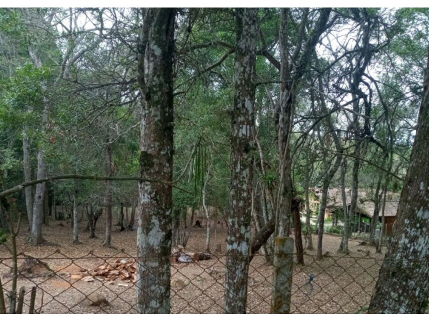 Imagem 4 do Leilão de Terreno - Bairro do Carmo - São Roque/SP