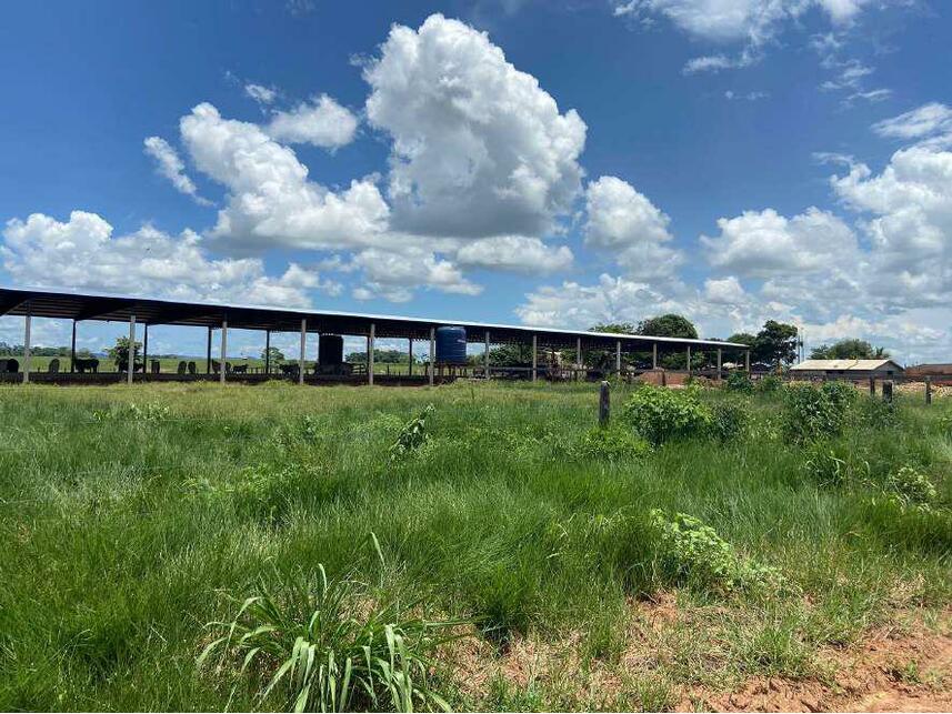 Imagem 8 do Leilão de Área Rural - Zona Rural - Alta Floresta D'oeste/RO
