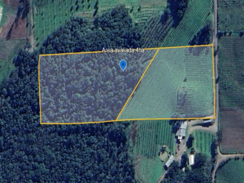 Imagem 1 do Leilão de Terreno - Linha Santana - São Marcos/RS