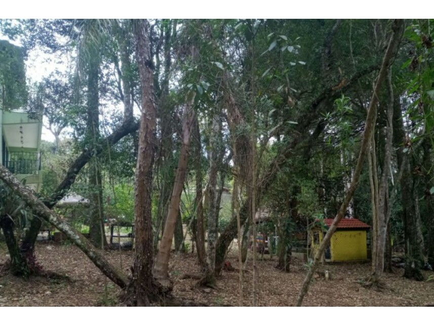 Imagem 8 do Leilão de Terreno - Bairro do Carmo - São Roque/SP