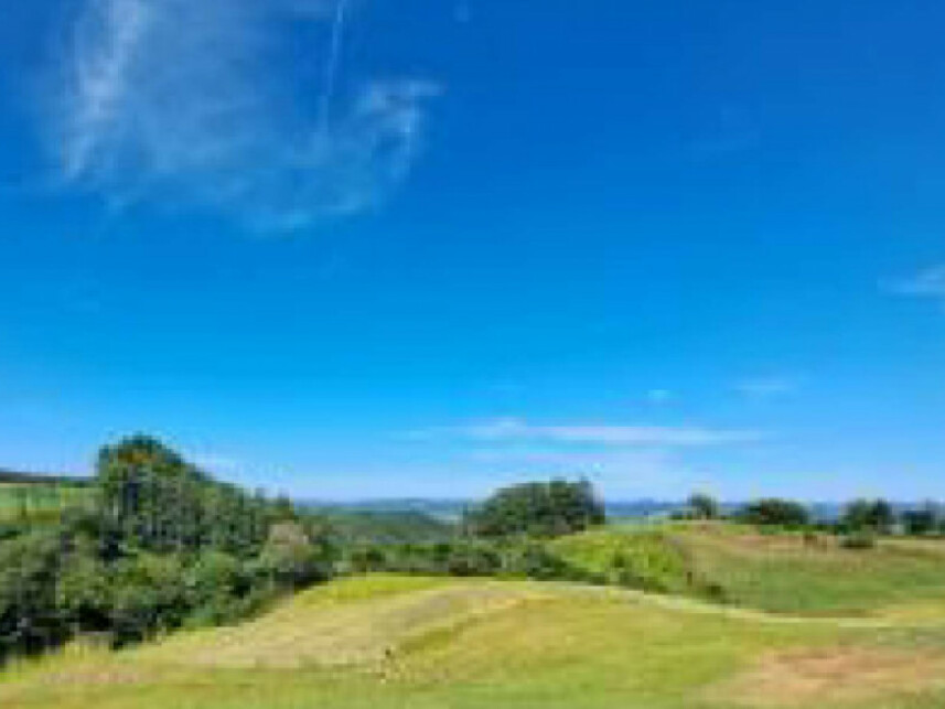 Imagem 3 do Leilão de Área Rural - Interior - União do Oeste/SC