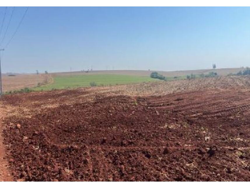 Imagem 2 do Leilão de Área Rural - Centro - Formosa do Oeste/PR