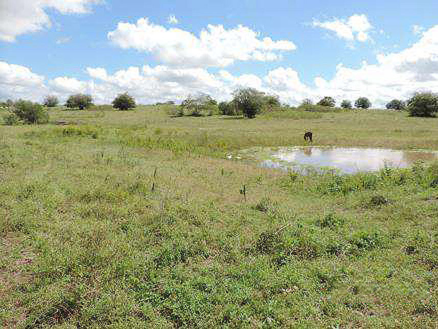 Imagem 4 do Leilão de Terreno - Santa Luzia - Nova Cruz/RN