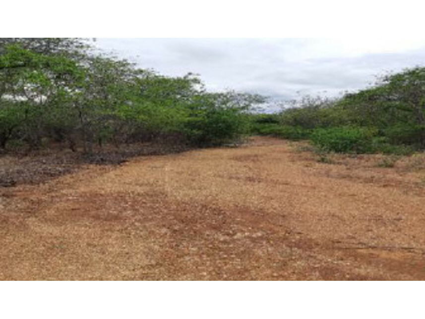 Imagem  do Leilão de Área Rural - Zona Rural - Pedras de Maria da Cruz/MG