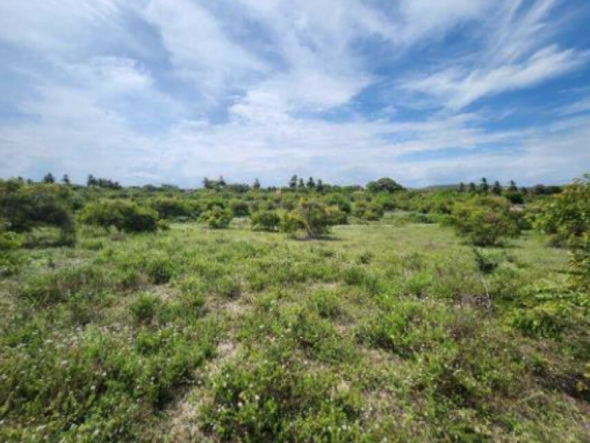 Imagem 2 do Leilão de Terreno - Santa Maria - Aracaju/SE