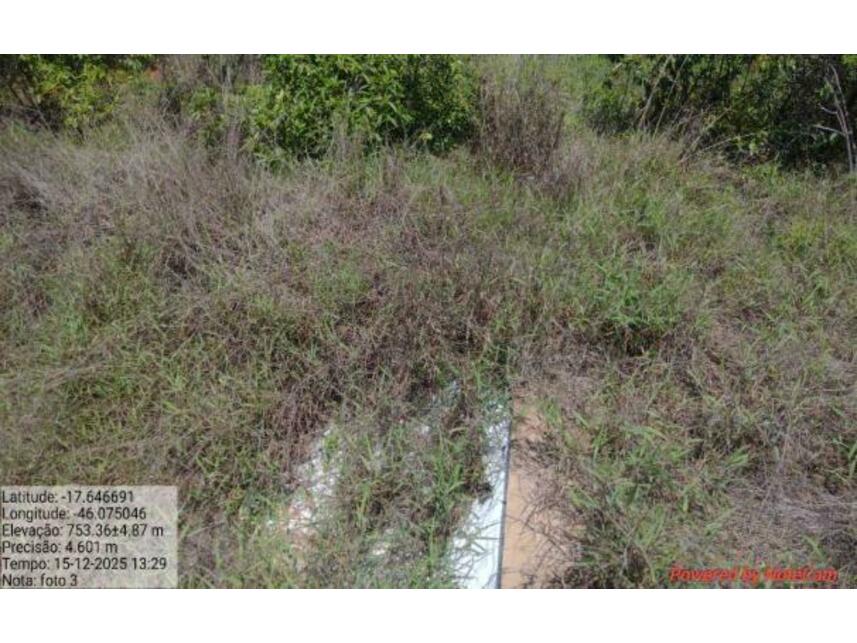 Imagem 12 do Leilão de Área Rural - Zona Rural - João Pinheiro/MG