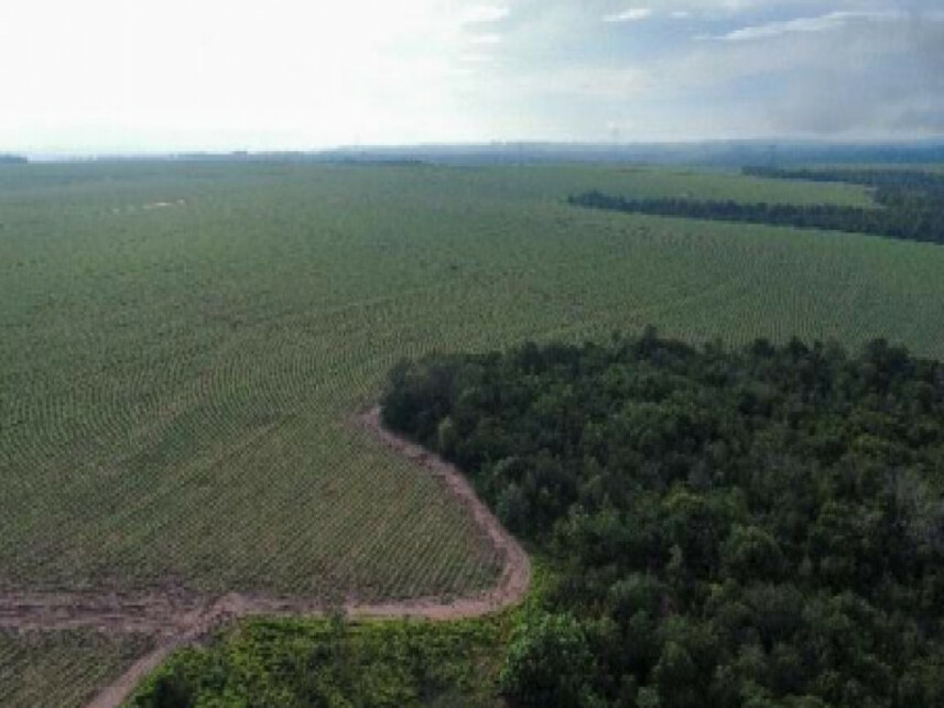 Imagem 2 do Leilão de Área Rural - Zona Rural - Mineiros/GO