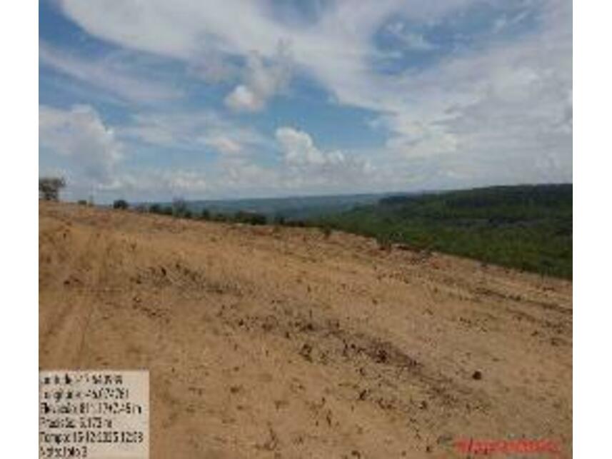 Imagem 11 do Leilão de Área Rural - Zona Rural - João Pinheiro/MG